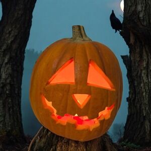 Vtg 1993 Trendmasters Jack O Lantern Pumpkin Foam Mold Halloween Light WORKS